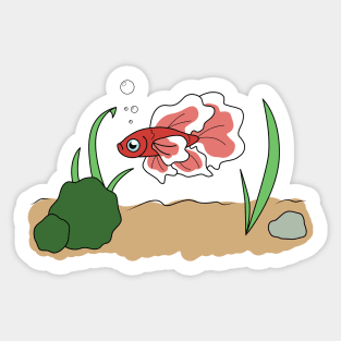 Betta Fish Sticker